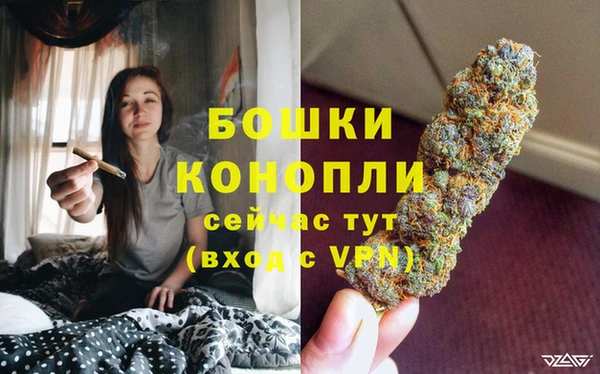 мдма Дмитриев